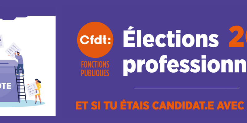 élections professionnelles